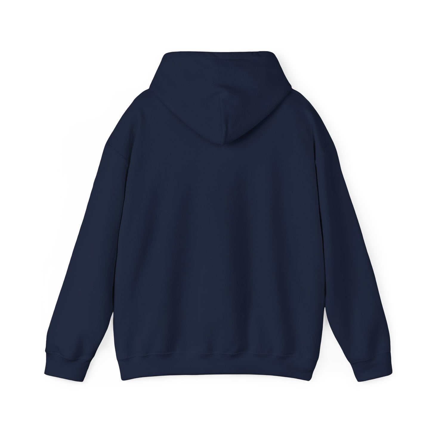 Faith Family Freedom Hoodie | Patriotic Faith-Based July 4th, Vintage Americana